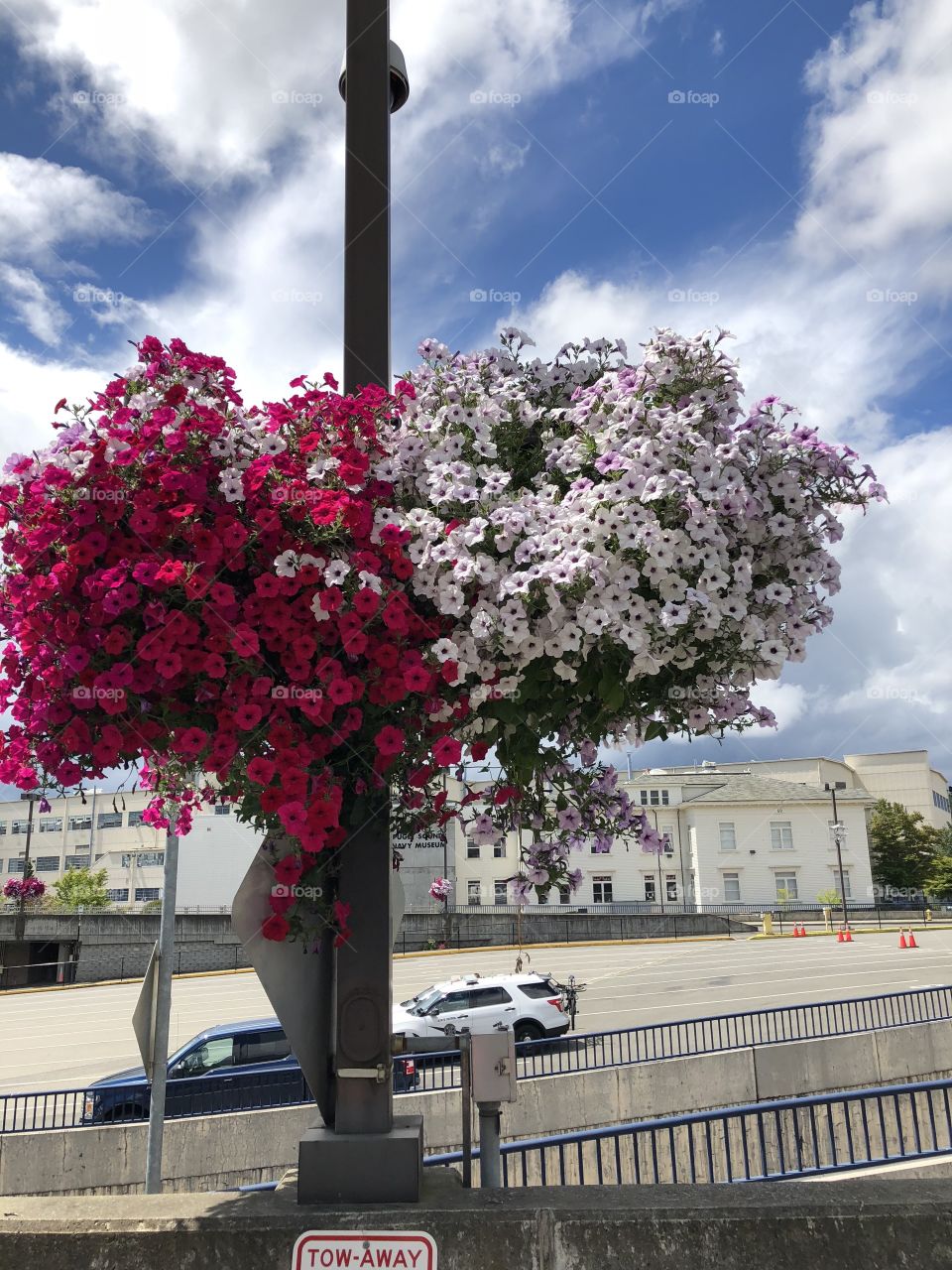 Beautiful structures and flowers at the Bremerton Ferry Terminal 