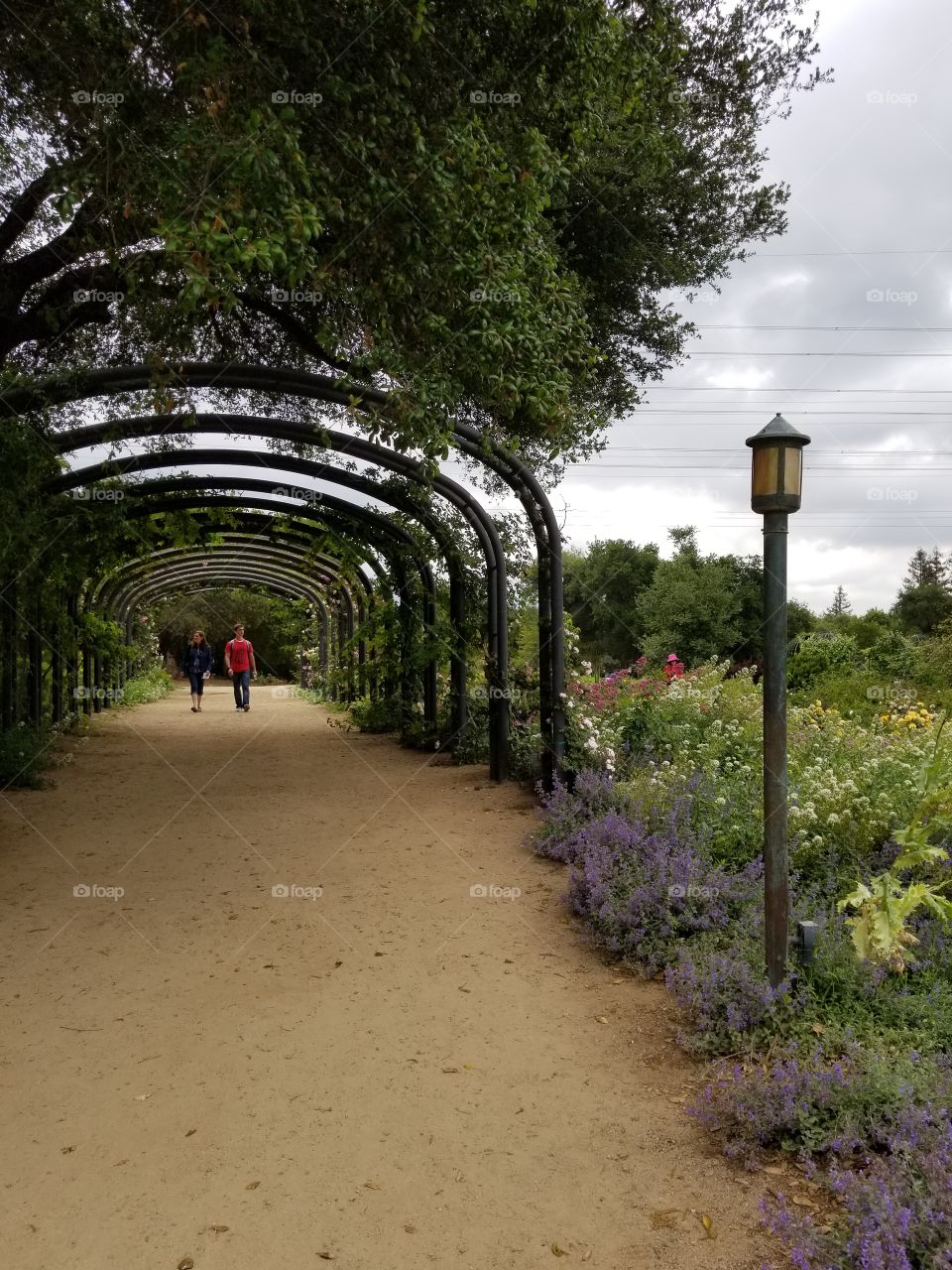 A Walk In The Garden