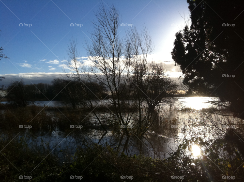 trees water river reflection by jeanello