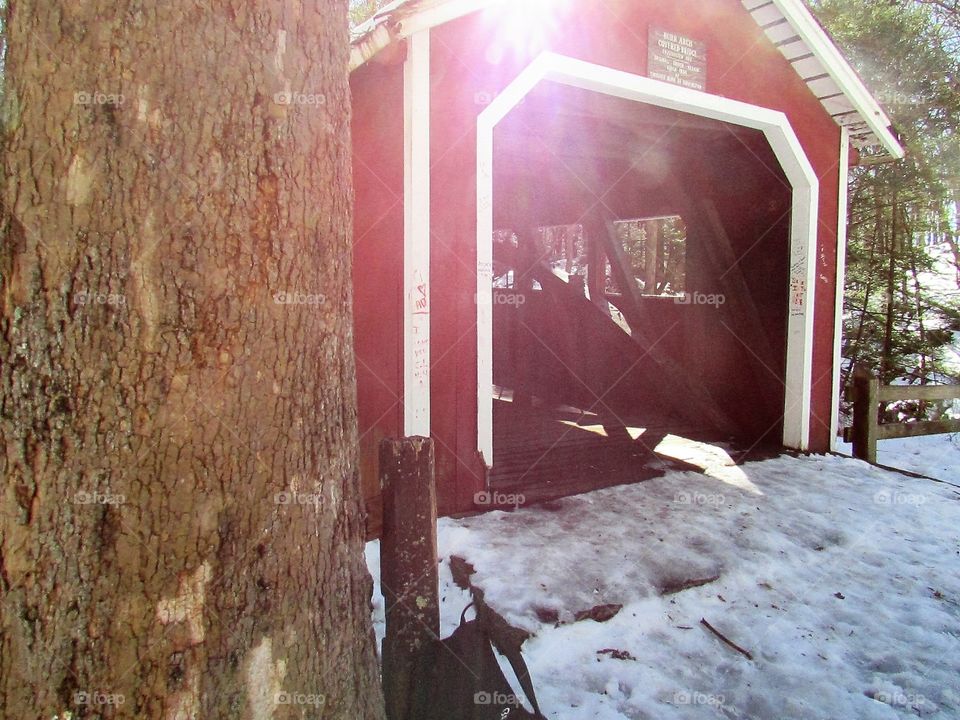 A covered bridge behind a tree with the sunlight shining over it