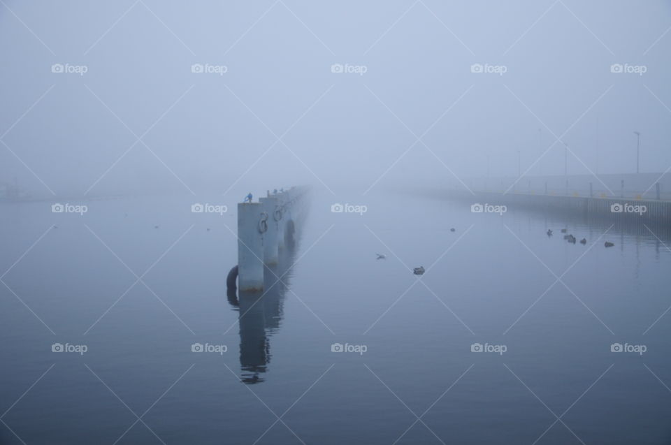 foggy morning at the Baltic sea coast in Poland