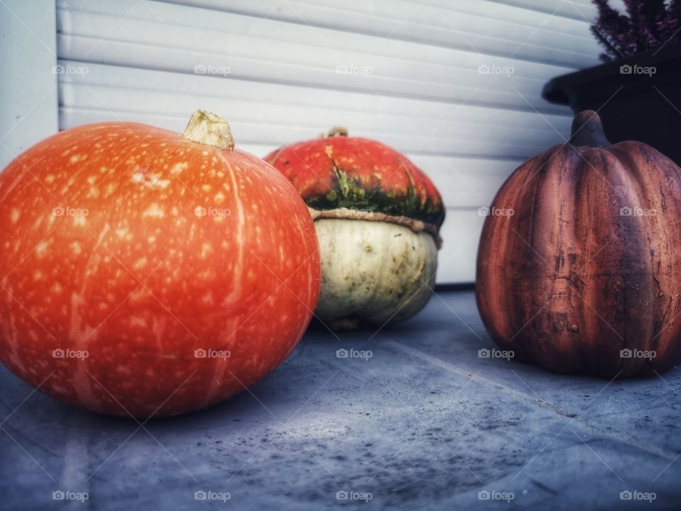 Autumn vegetables