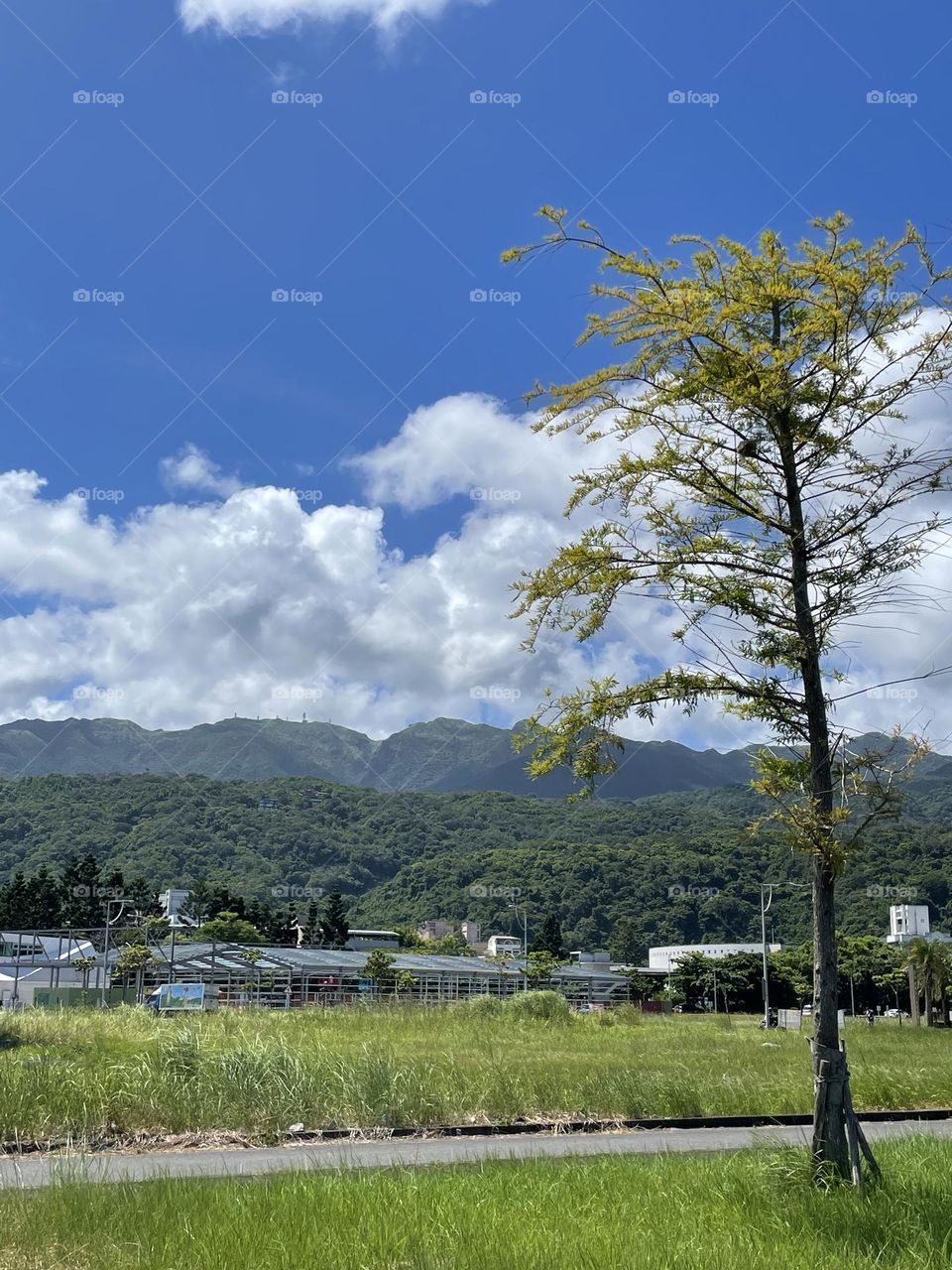 To excel alone in a particular field