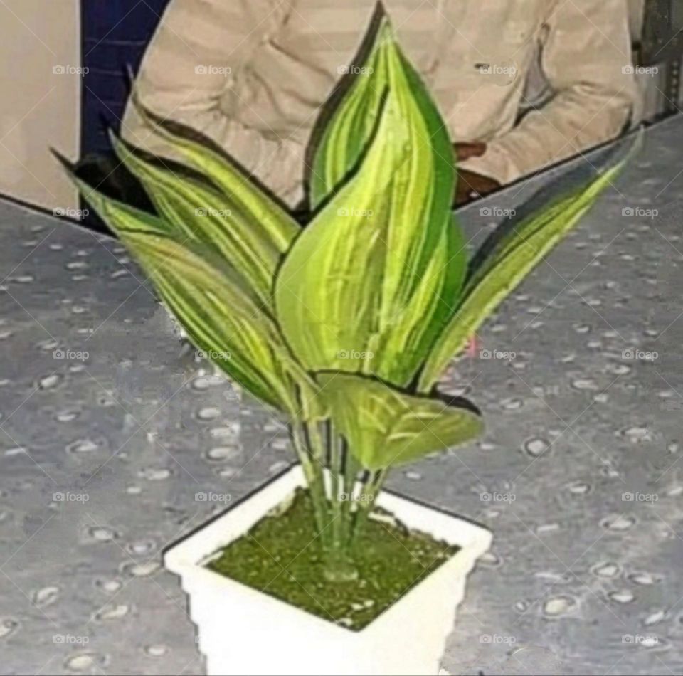 A beautiful and attractive view.