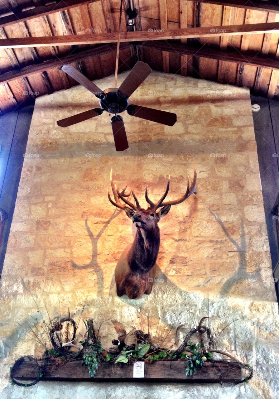 The Elk's Lodge