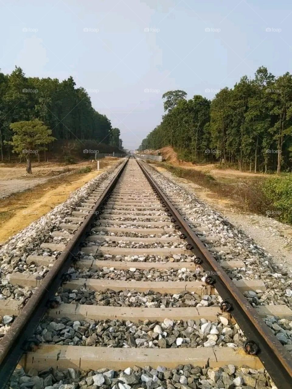 A most beautiful and attractive view of the railway track.