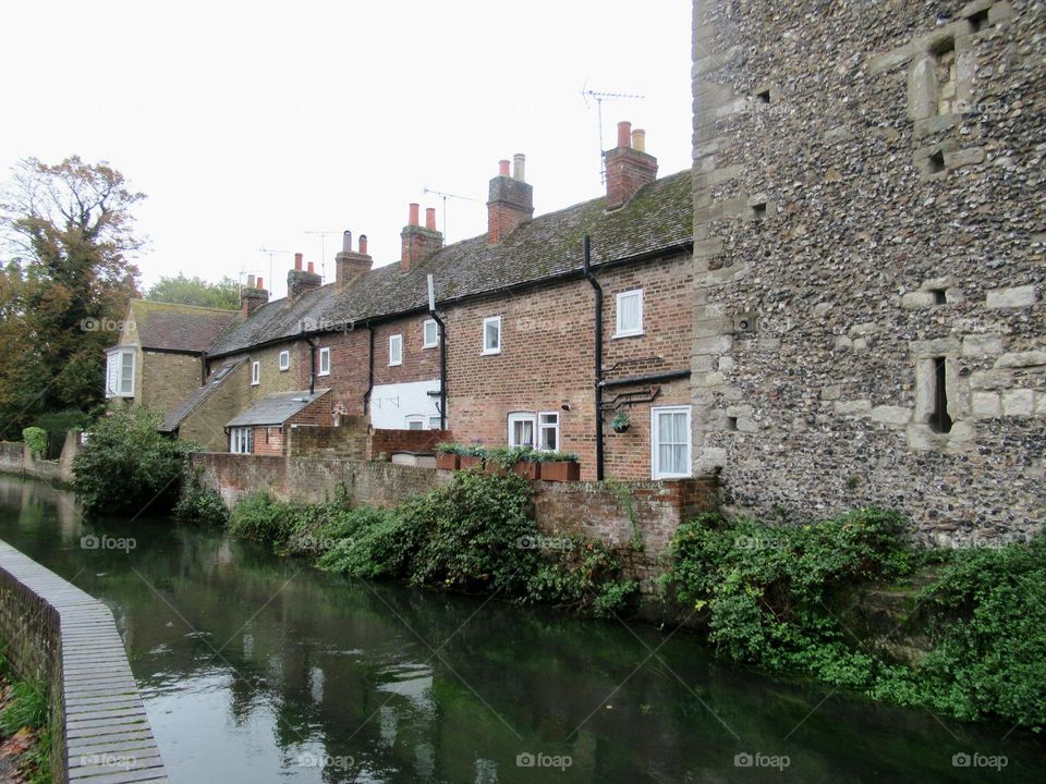 Plants growing along the walls of the houses