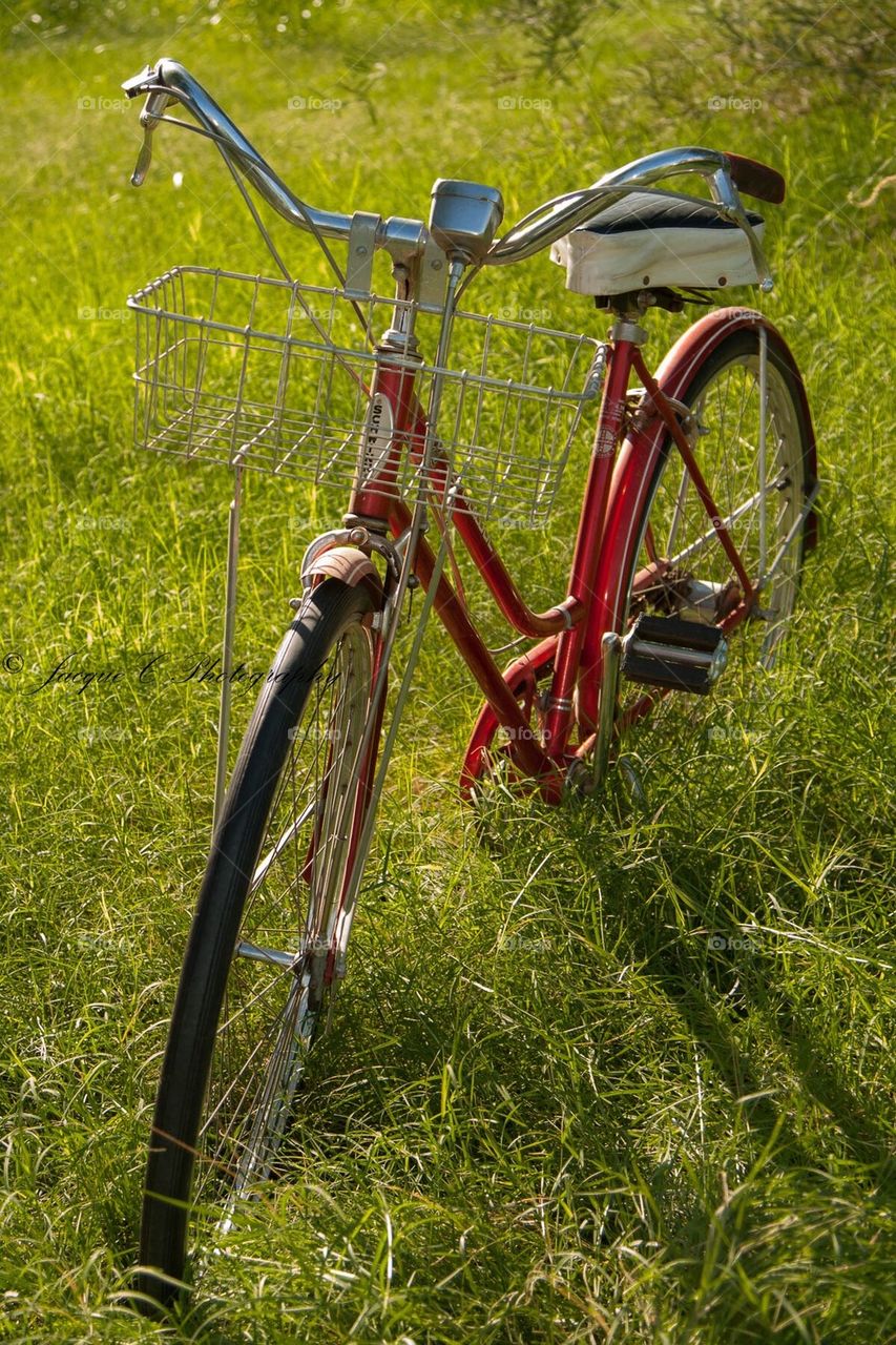Bike in Field