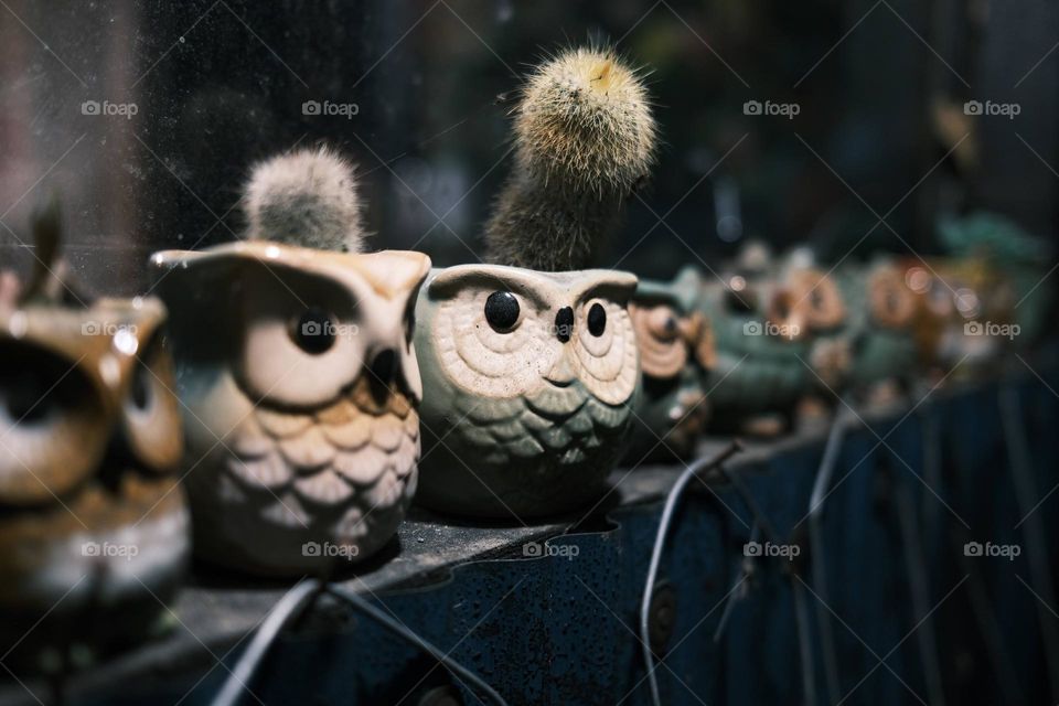 Life and art in visual impressions