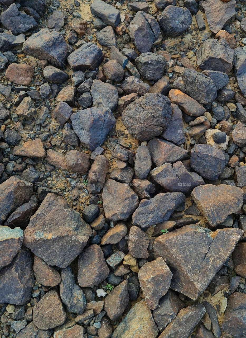rocks