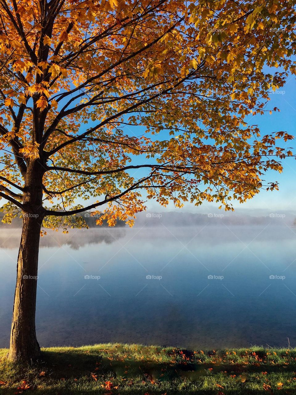 Beautiful lake scenery with beautiful maple leaves