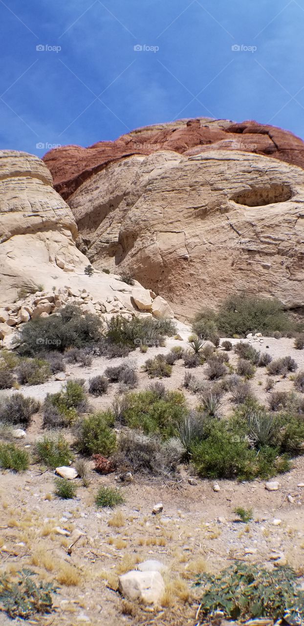 Red Rock Conservatory