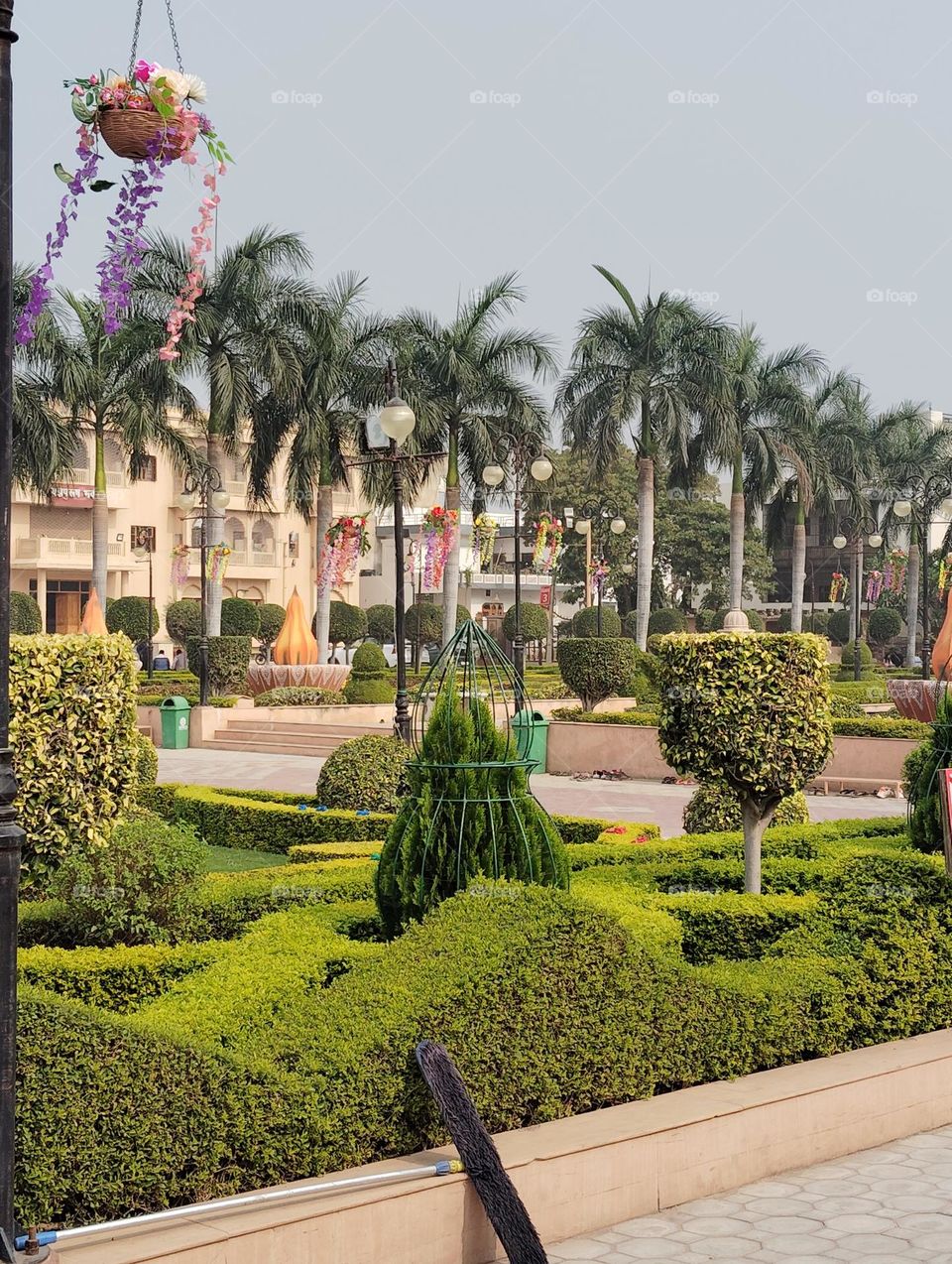 Green plant shurb small size looks very nice and very beautiful large tree, looks very beautiful