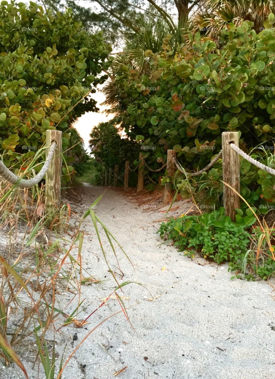 A sandy trail leading to the white beach and warm waves of summer.