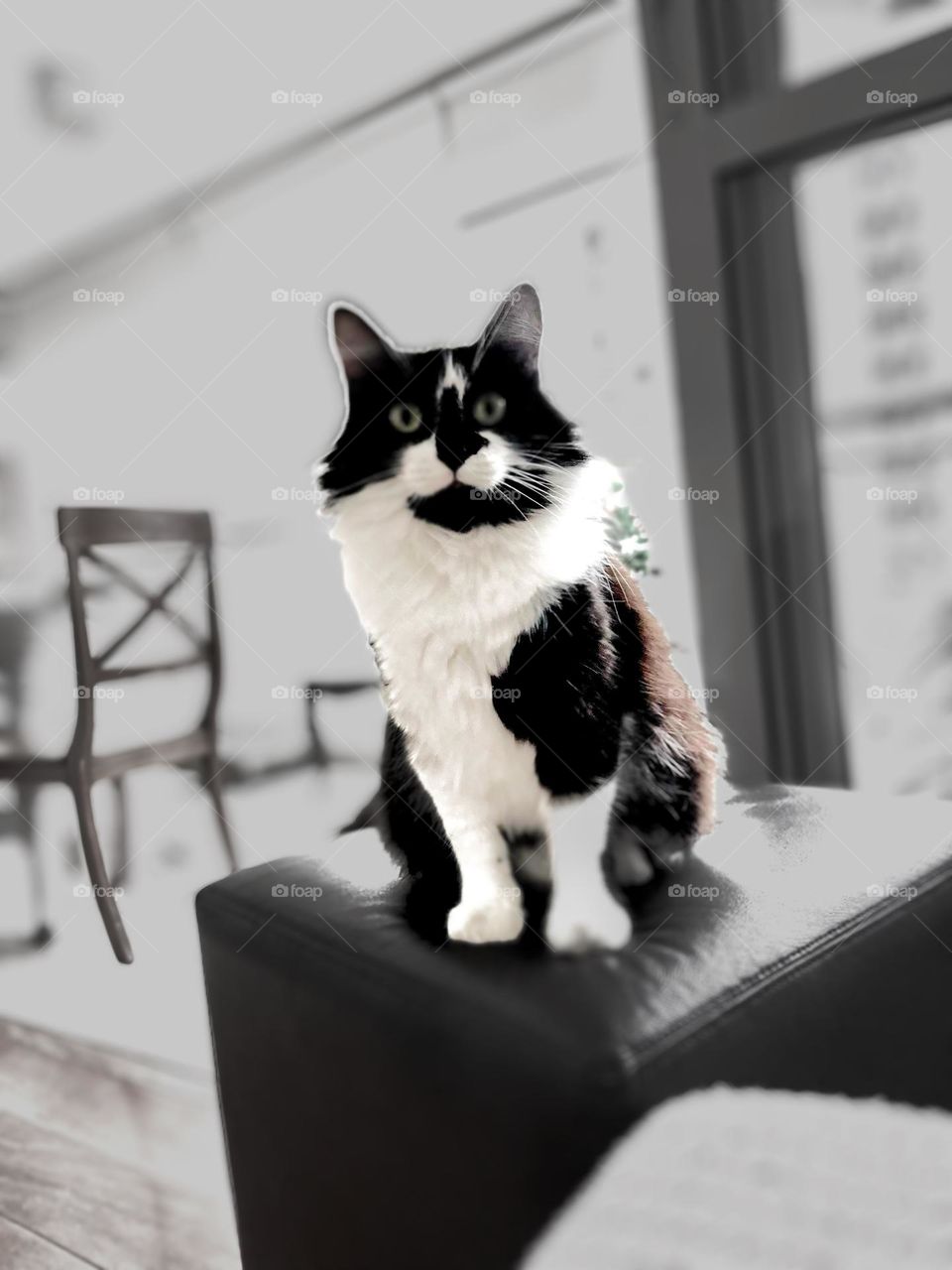 What’s up? Candoca