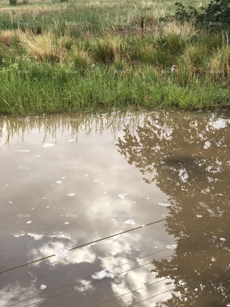 Pond with reflection of clouds 