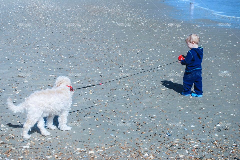 walk dog spring beach