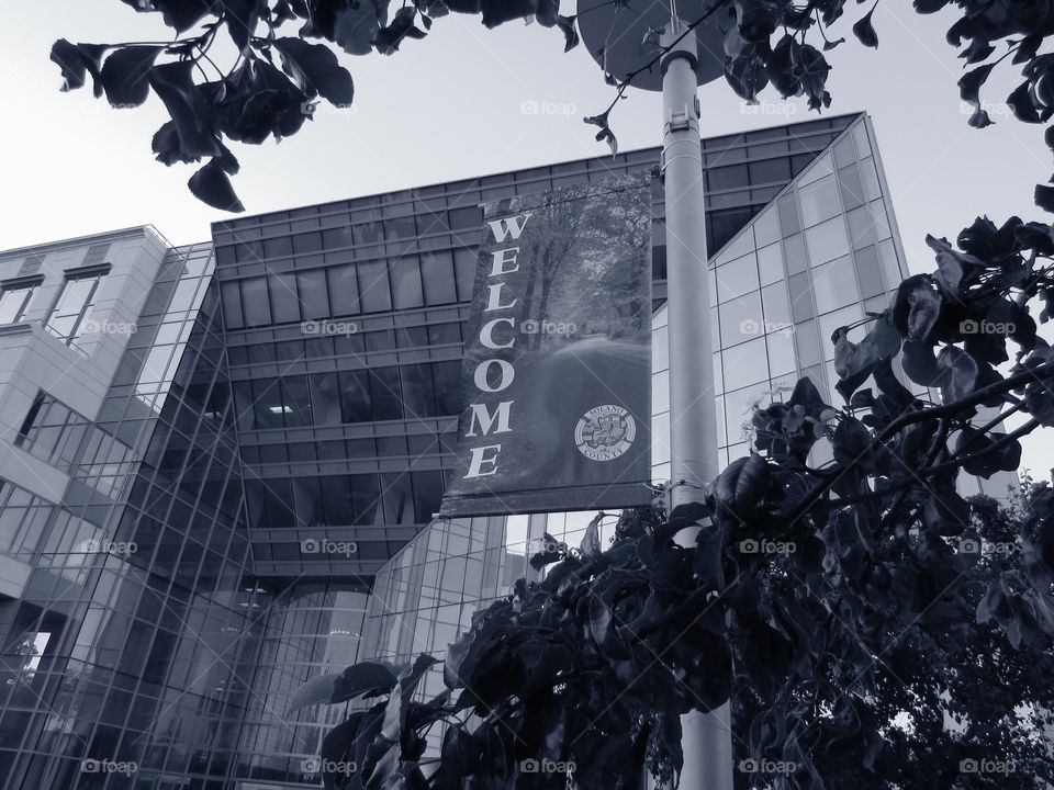 black and white architecture. in Old Town Fairfield California