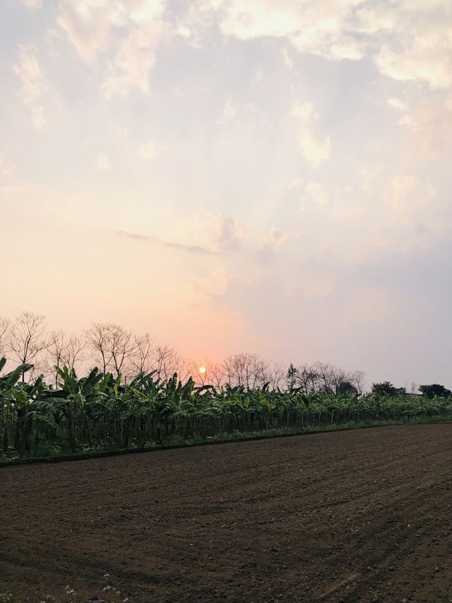 Sunset 