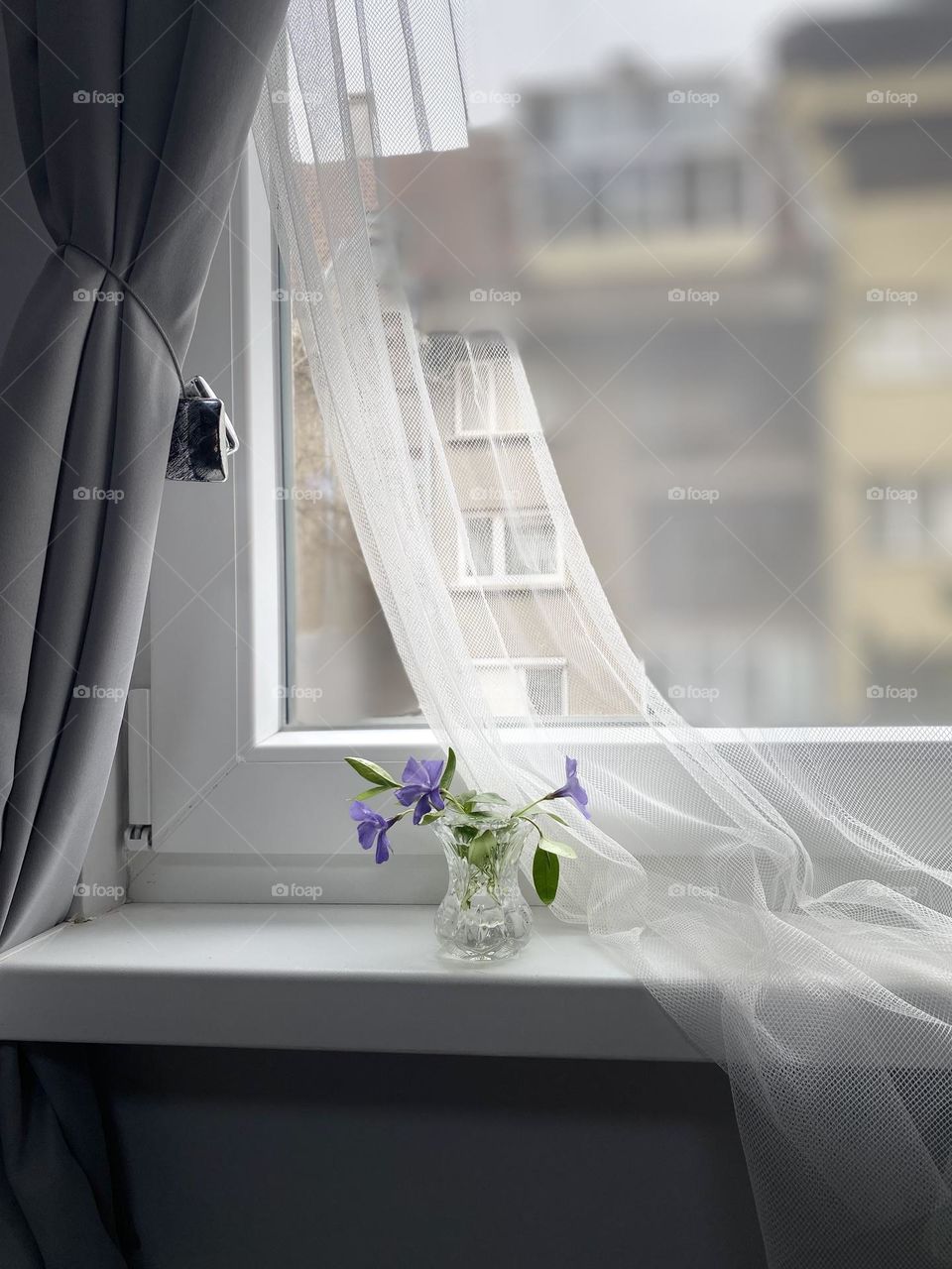 Window and flowers in a vase 