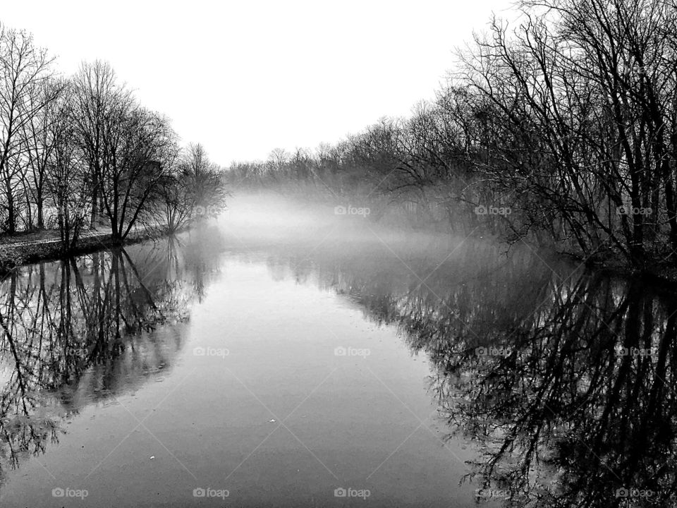 The silence of winter! The fog slowly starts to drift over Lake Carnegie on a dreary and cold winter morning! 