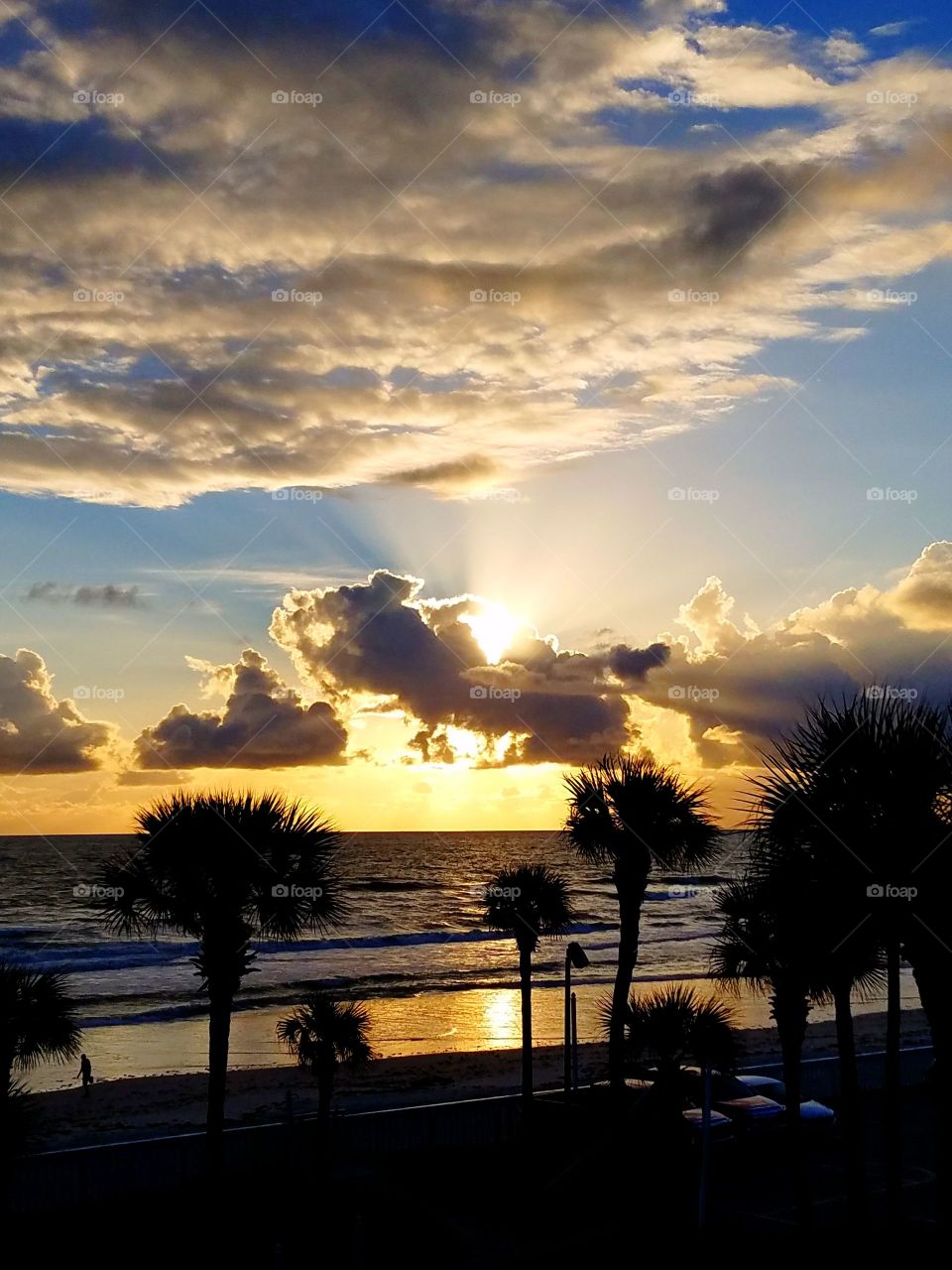 Stunning Florida sunrise in Daytona Beach. Beautiful clouds fill the sky. Palm tree silhouettes in the distance.