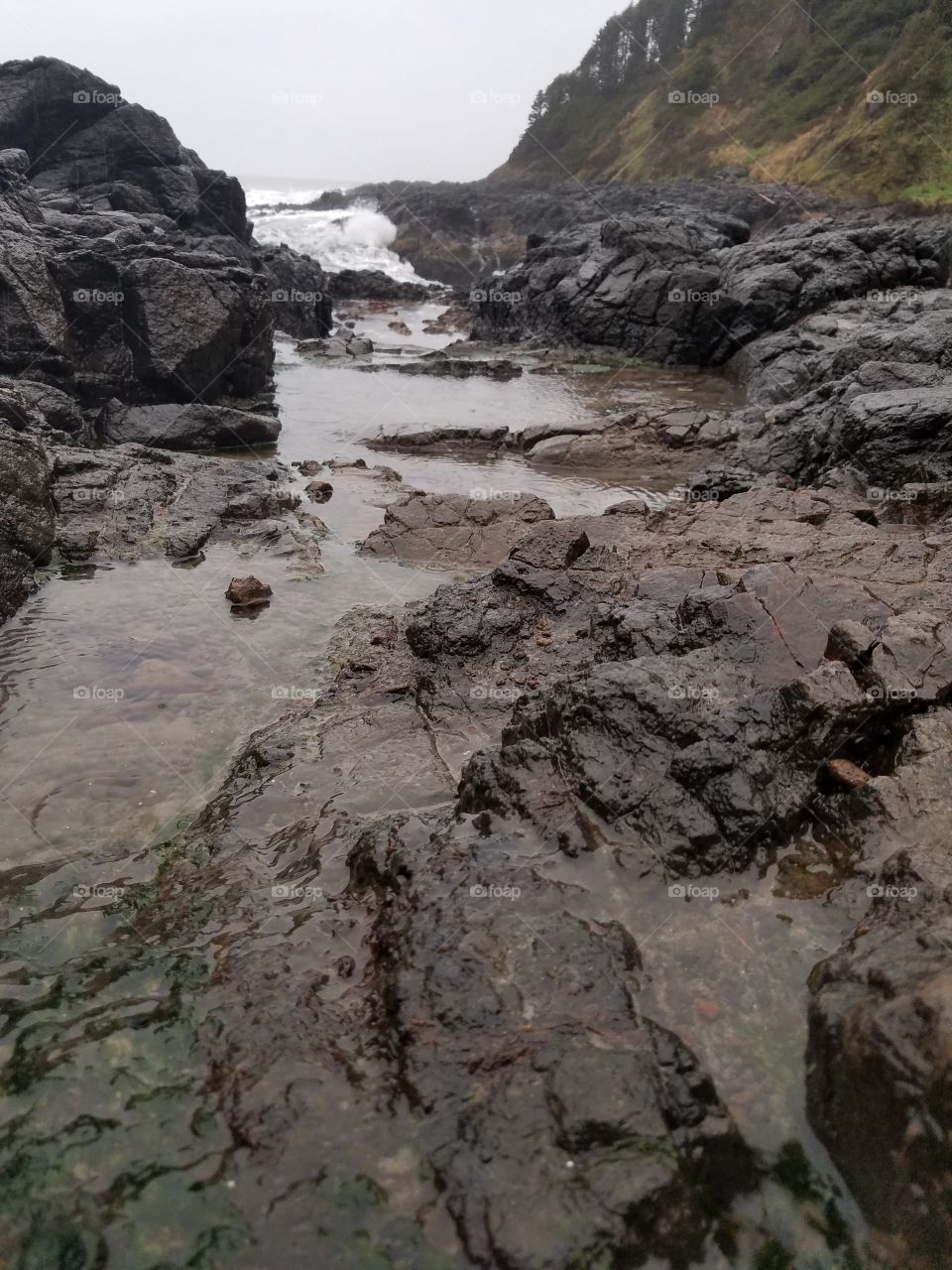 puddles on the rocky shore