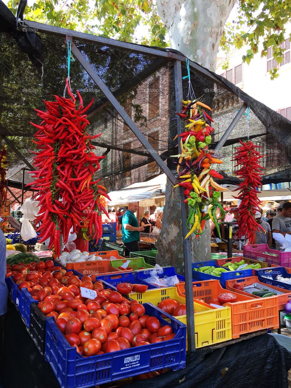 Vegetable stall in marketplace Spain 