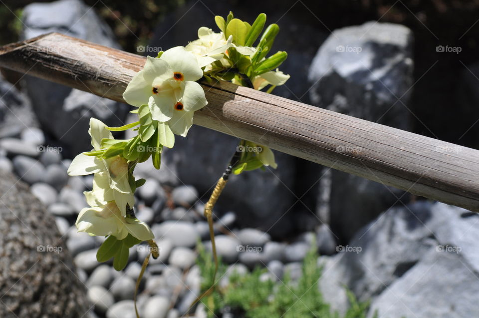 Flower crown on bamboo water pipe