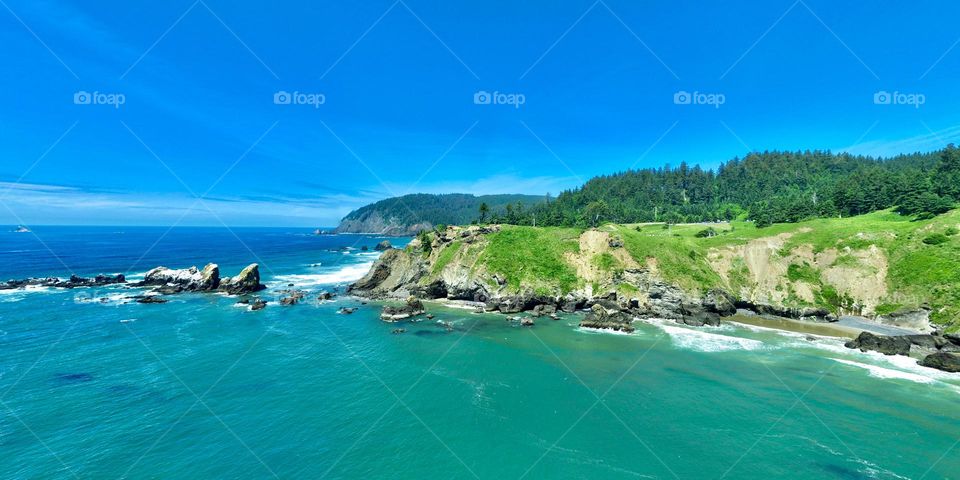 Ecola State Park sitting atop ancient rocks in Cannon Beach, Oregon as the Pacific Ocean roars in the background.