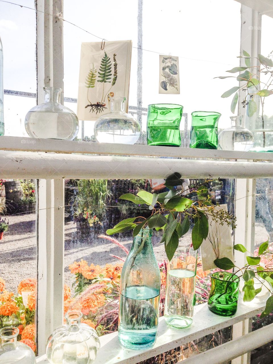 greenhouse window rosendal