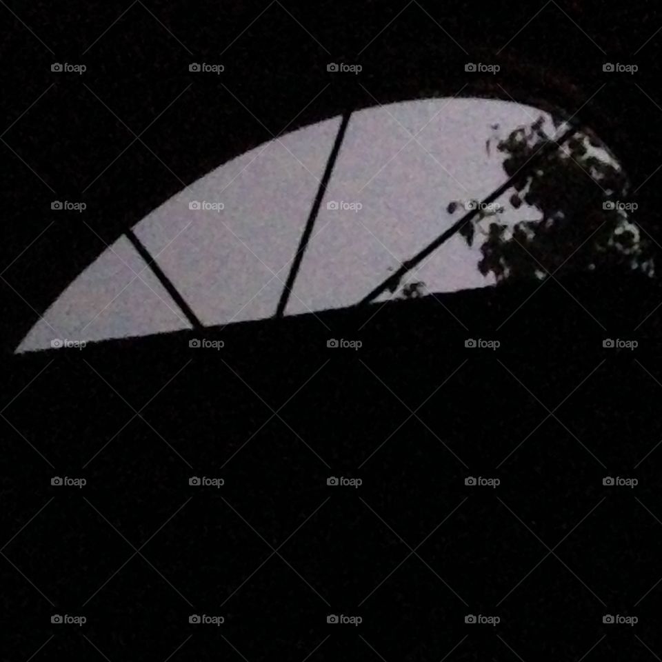 Nighttime, looking up at my bedroom window during a thunderstorm 