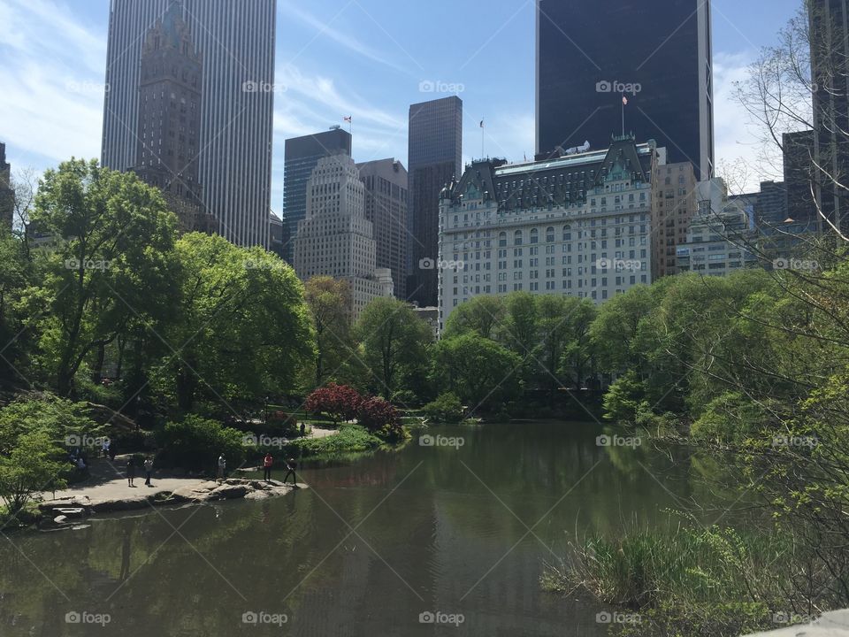 View from the Pond at Central Park 