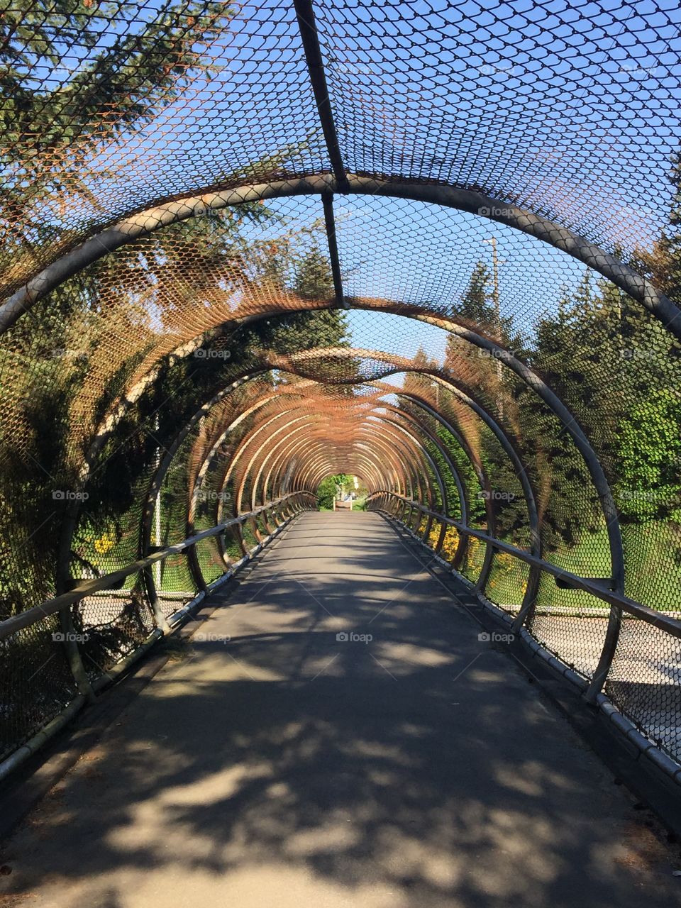 Walkway. Favorite bridge to explore the neighborhood 