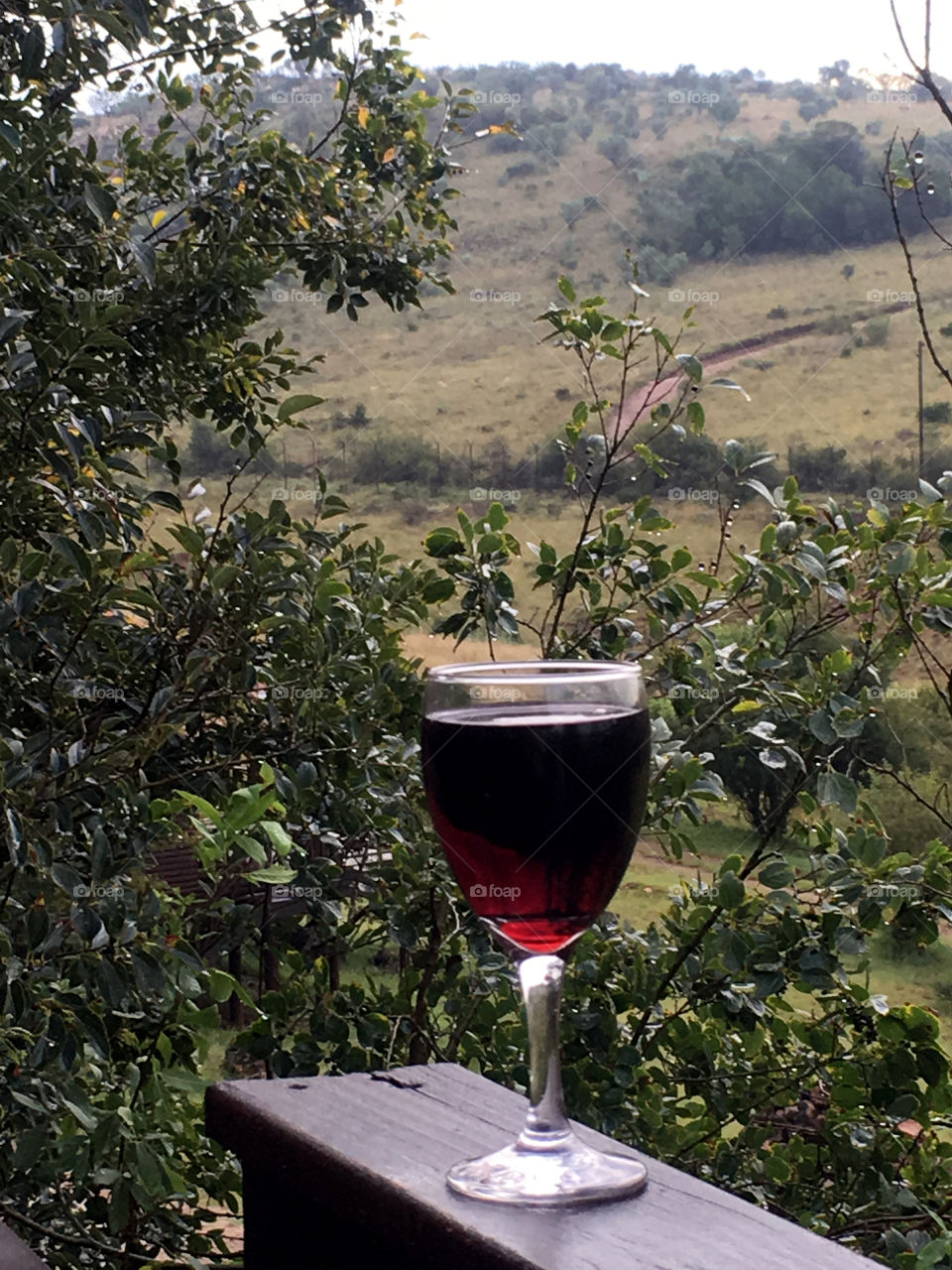 Red wine with a view