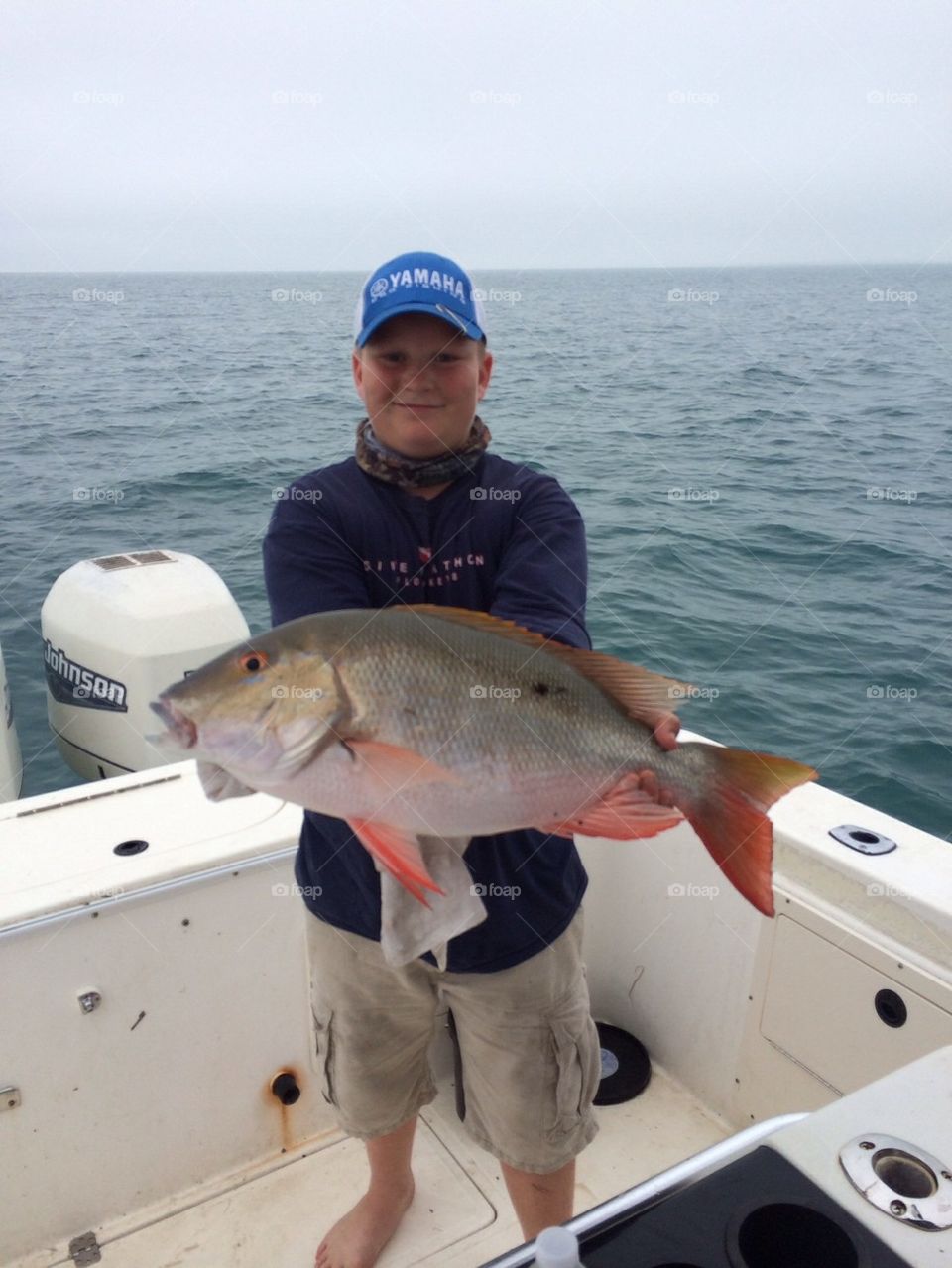 Mutton snapper