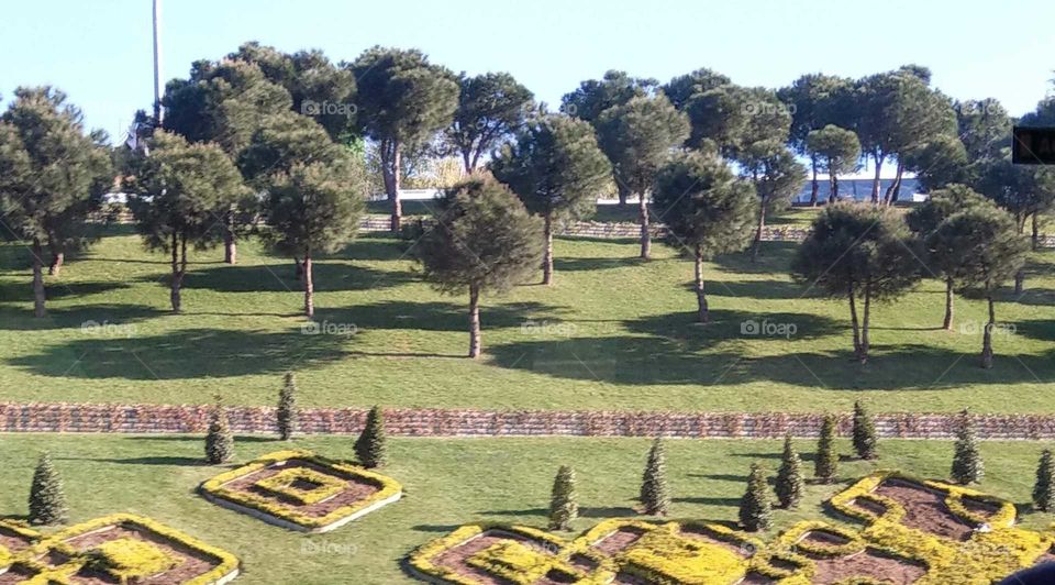 The road trees on the grass are lovely, and have some garden decoration patterns of some plants are beautiful.