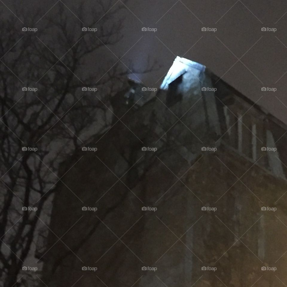 No Person, Winter, Light, Snow, Fog