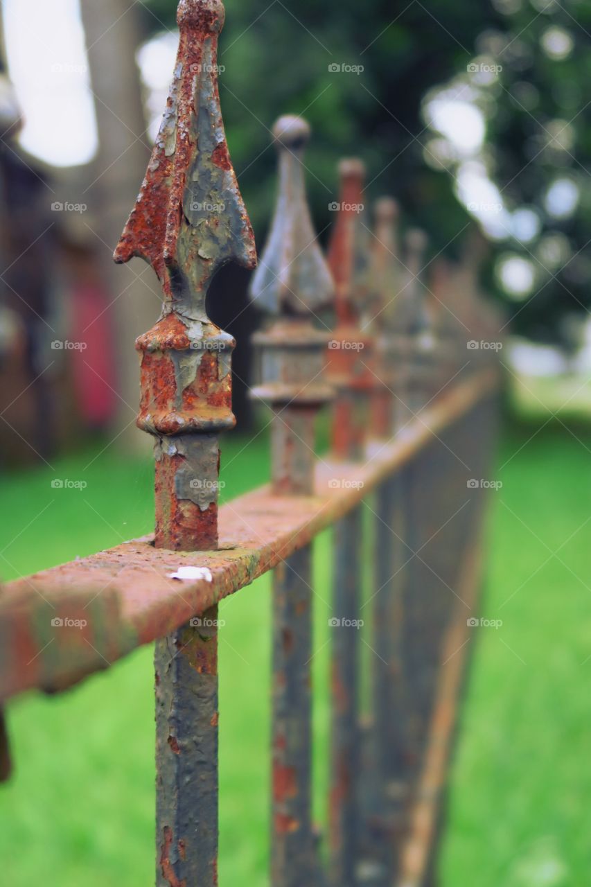 rusty old fence