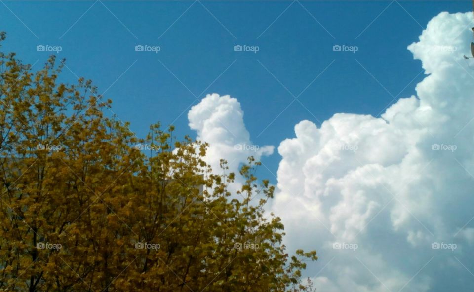 Nature, No Person, Sky, Landscape, Fair Weather