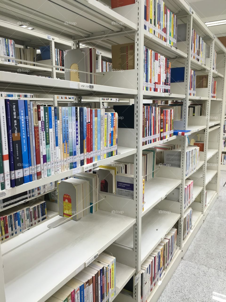 Chinese Books in Shenzhen Library - China