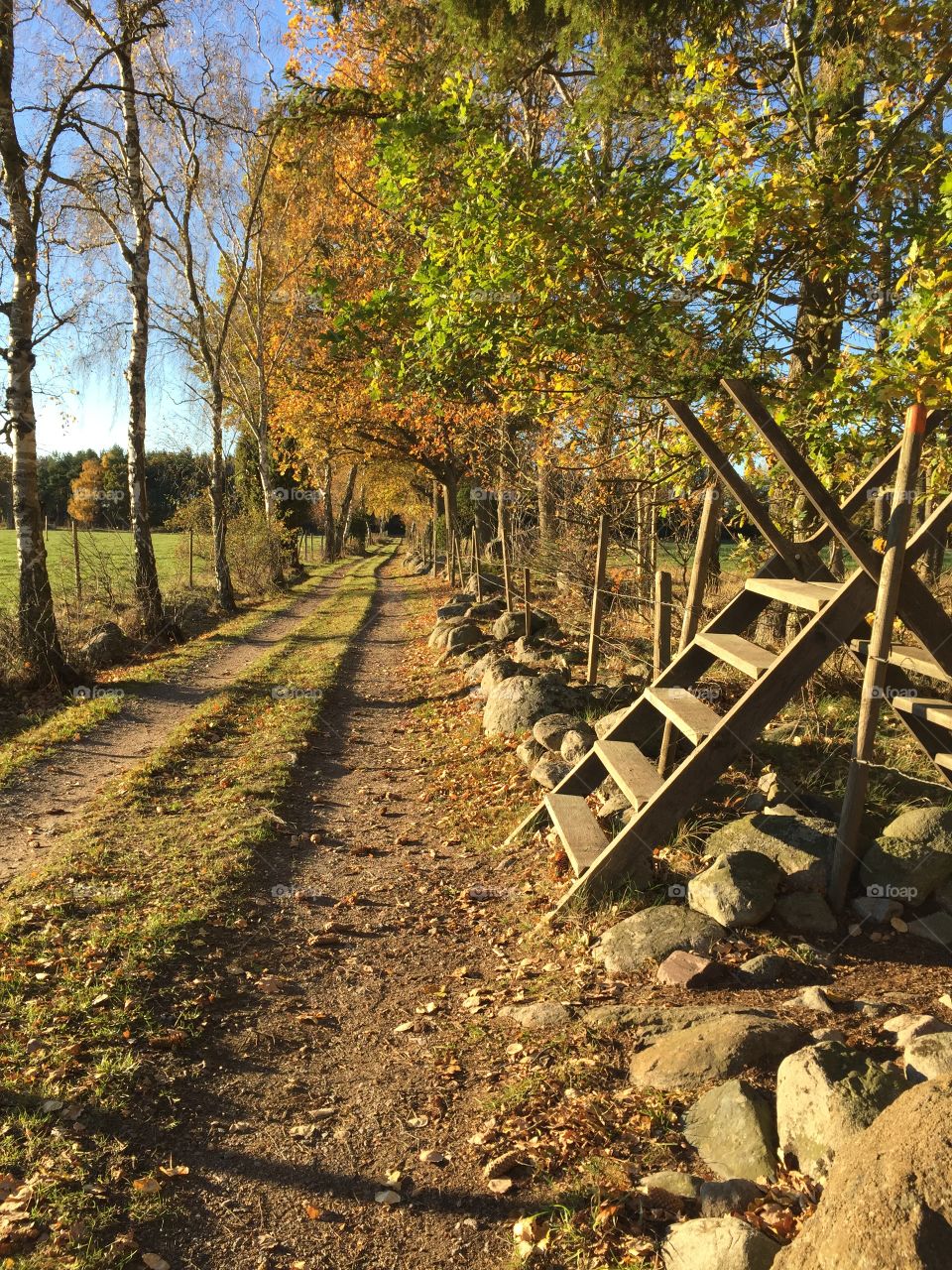 Autumn in Sweden 
