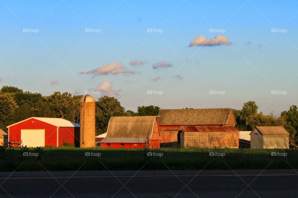 farm