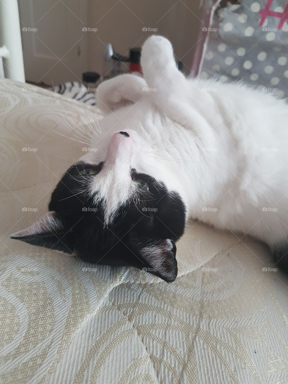 Charlie making a pose up!! So cute!!