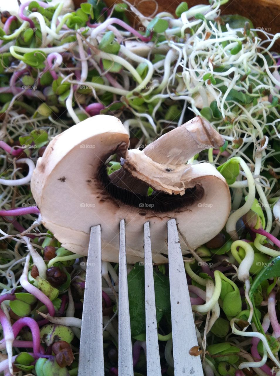 Mushroom. White button mushroom slice and fork