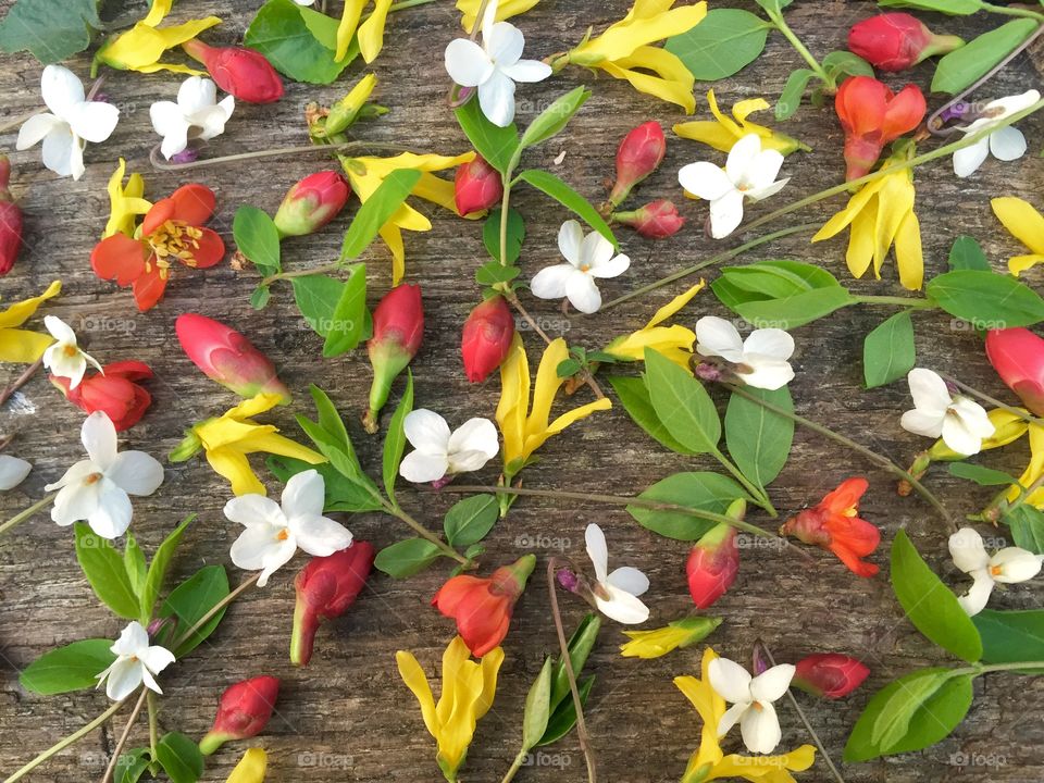 Bunch of multicolored flowers on wooden table