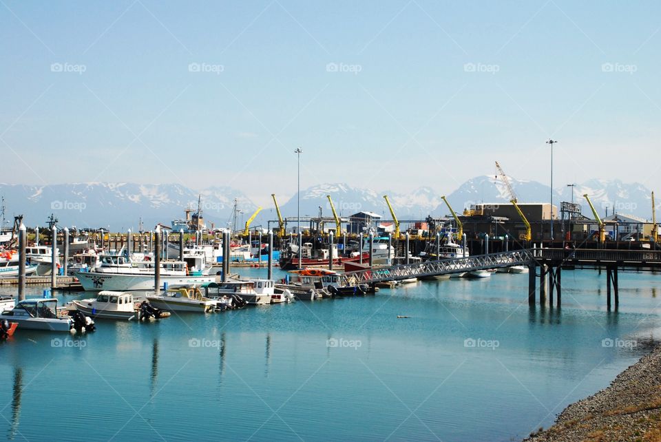 Harbor Homer Alaska