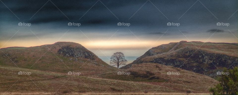 Scenics view of sycamore gap