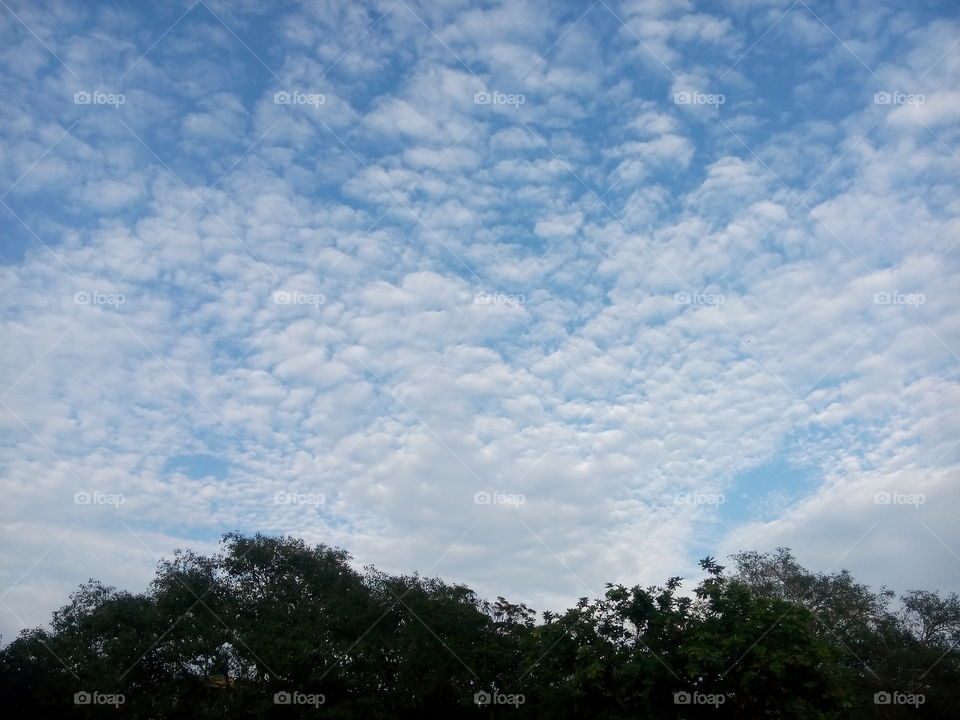 sky cloudy raining weather trees