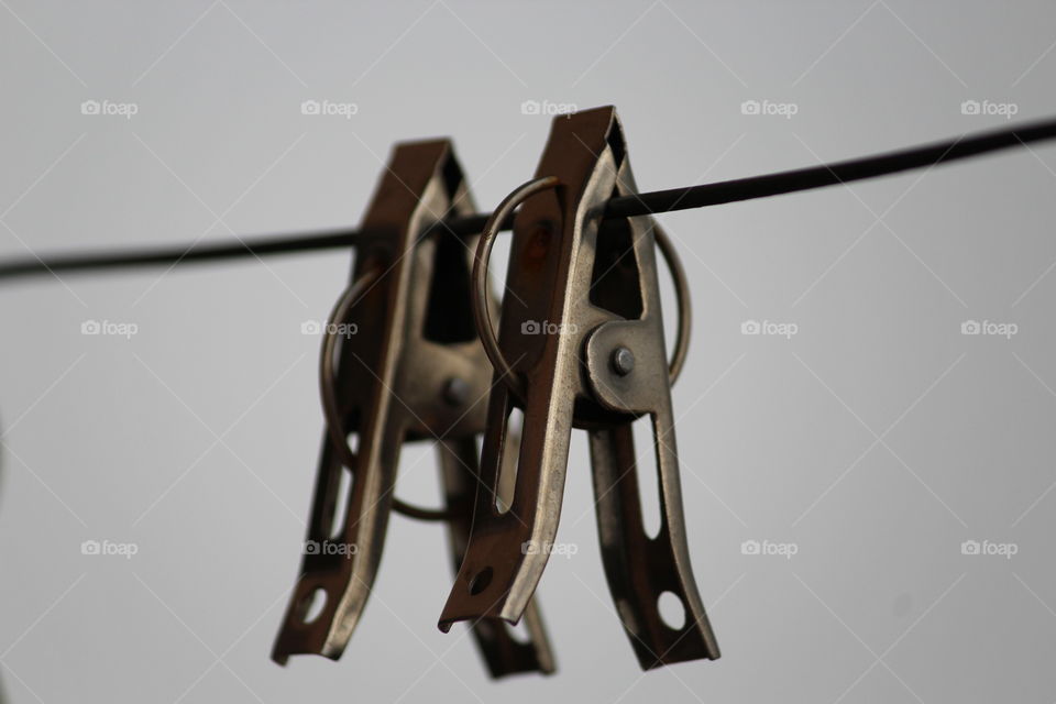 Macro Shot, GreyScale, Bookeh Effect.